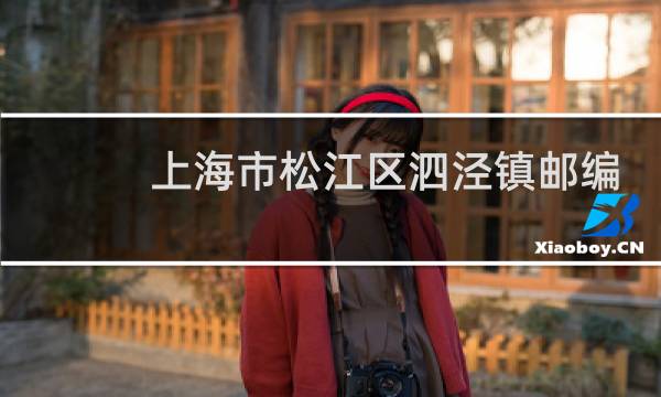 上海市松江区泗泾镇邮编多少