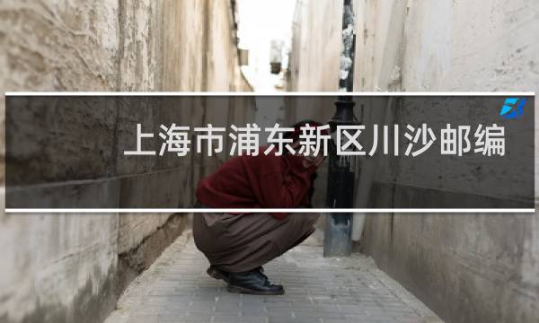 上海市浦东新区川沙邮编是多少