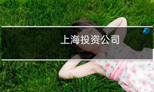 上海投资公司