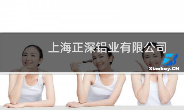 上海正深铝业有限公司-域名及账户问题