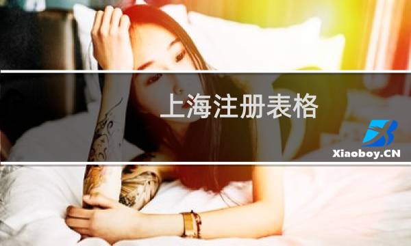 上海注册表格，你有链接吗