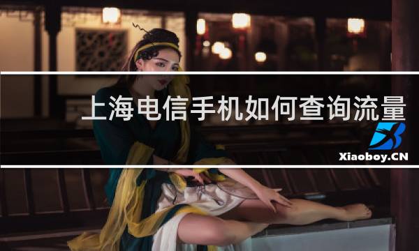 上海电信手机如何查询流量