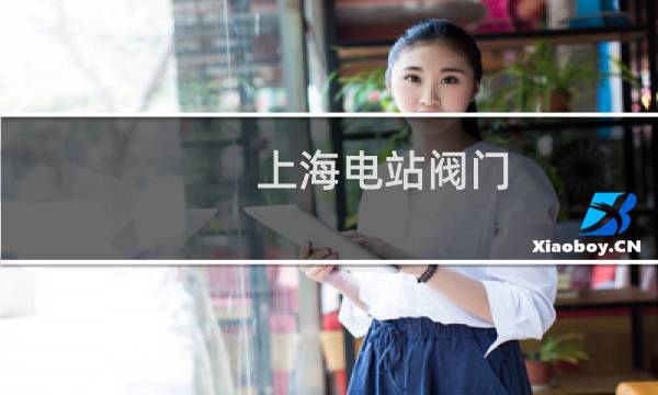 上海电站阀门图片