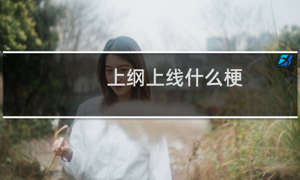 上纲上线什么梗