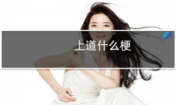 上道什么梗
