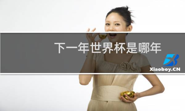 下一年世界杯是哪年