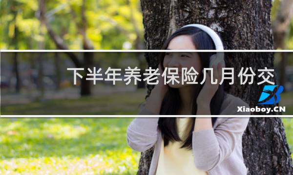 下半年养老保险几月份交