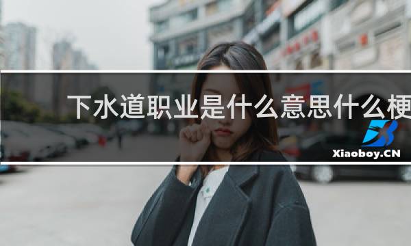 下水道职业是什么意思什么梗