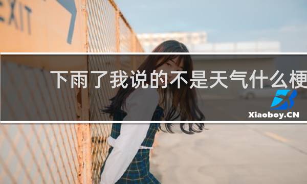 下雨了我说的不是天气什么梗
