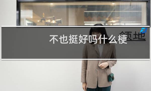 不也挺好吗什么梗？不也挺好吗是什么意思什么梗