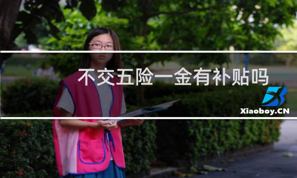 不交五险一金有补贴吗