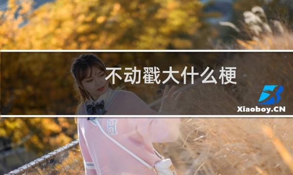 不动戳大什么梗