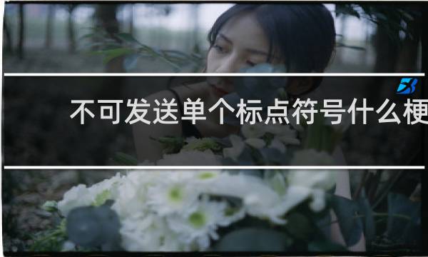 不可发送单个标点符号什么梗