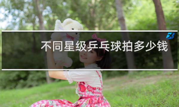 不同星级乒乓球拍多少钱
