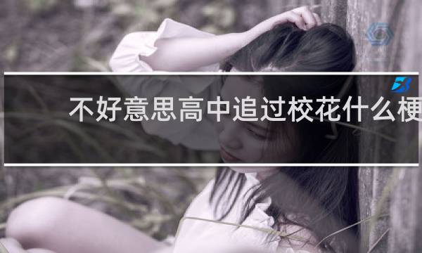 不好意思高中追过校花什么梗？什么梗