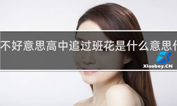 不好意思高中追过班花是什么意思什么梗