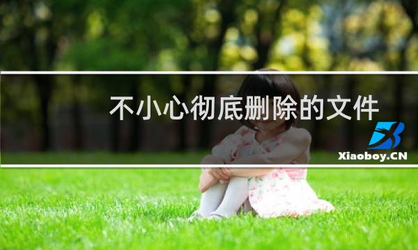 不小心彻底删除的文件怎么恢复(删除的数据如何恢复)