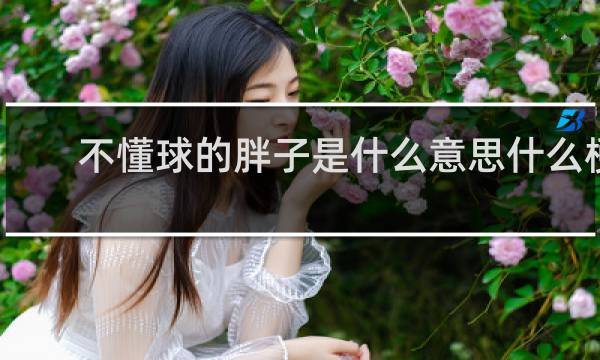 不懂球的胖子是什么意思什么梗