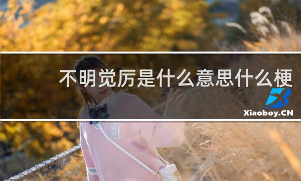 不明觉厉是什么意思什么梗