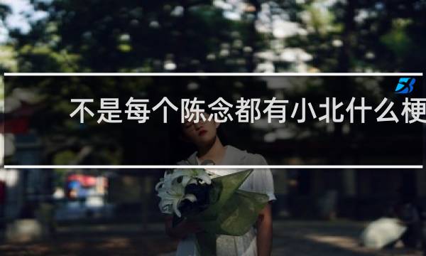 不是每个陈念都有小北什么梗