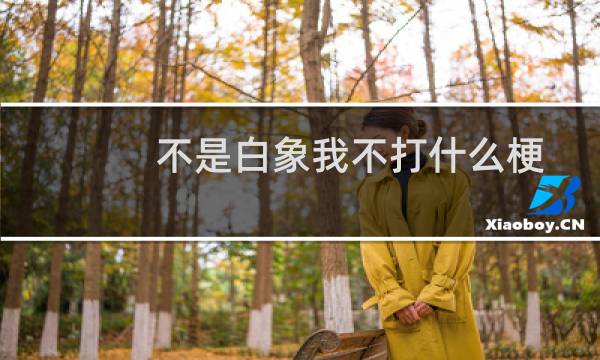 不是白象我不打什么梗