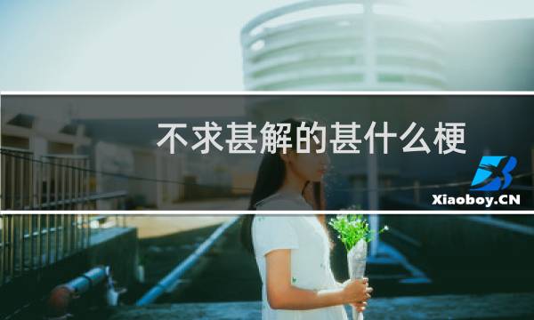 不求甚解的甚什么梗