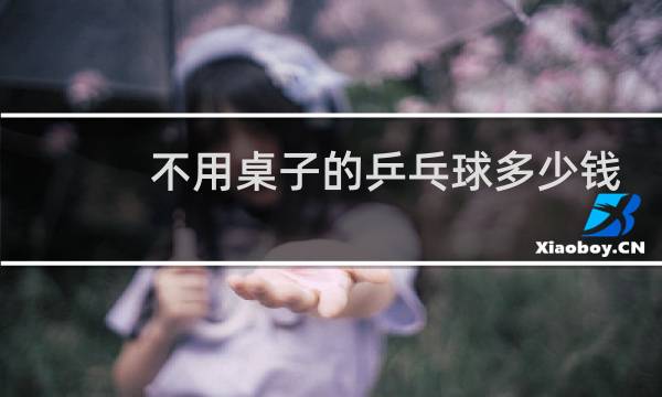 不用桌子的乒乓球多少钱
