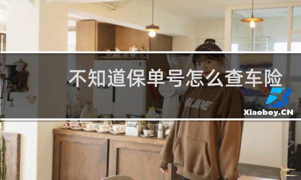 不知道保单号怎么查车险