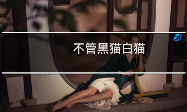 不管黑猫白猫，捉到老鼠就是好猫是什么意思什么梗