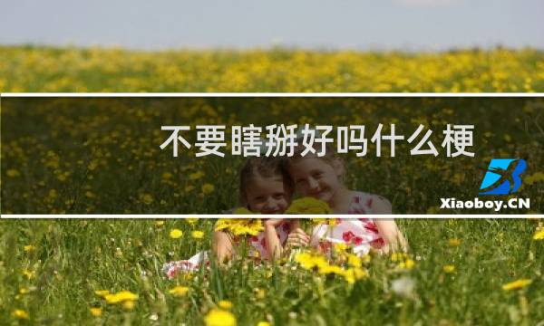 不要瞎掰好吗什么梗