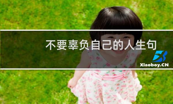 不要辜负自己的人生句子（别辜负自己的句子示例）