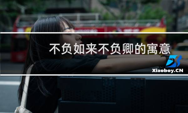 不负如来不负卿的寓意（不负如来不负卿的寓意是什么）