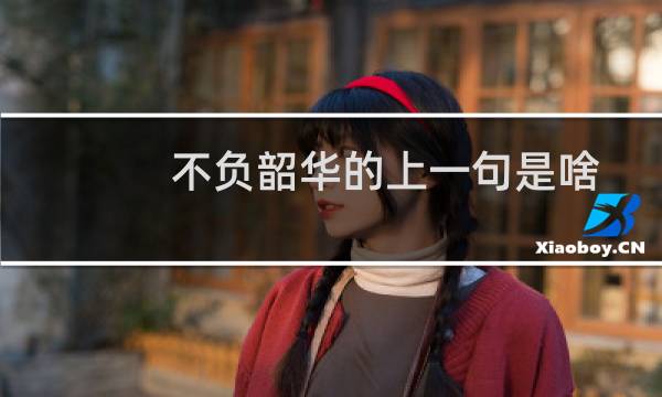 不负韶华的上一句是啥（不负韶华的上一句是什么）