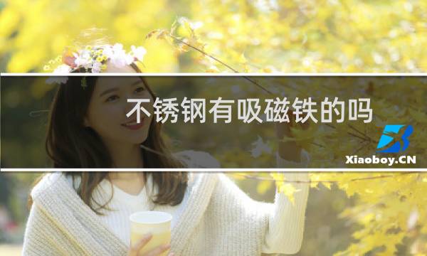 不锈钢有吸磁铁的吗