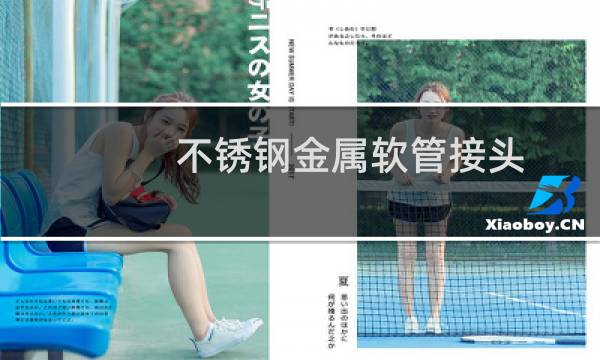 不锈钢金属软管接头（不锈钢金属）