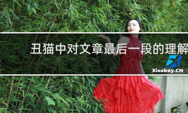 丑猫中对文章最后一段的理解
