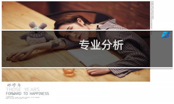 专业分析