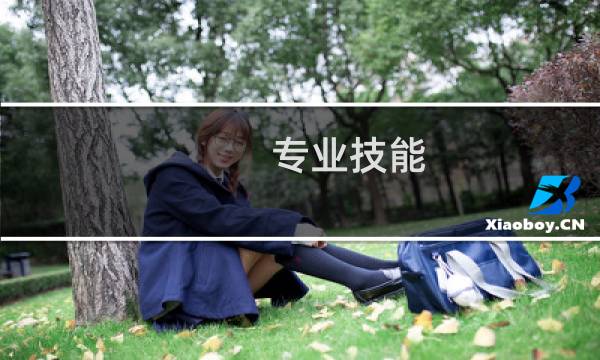 专业技能图片