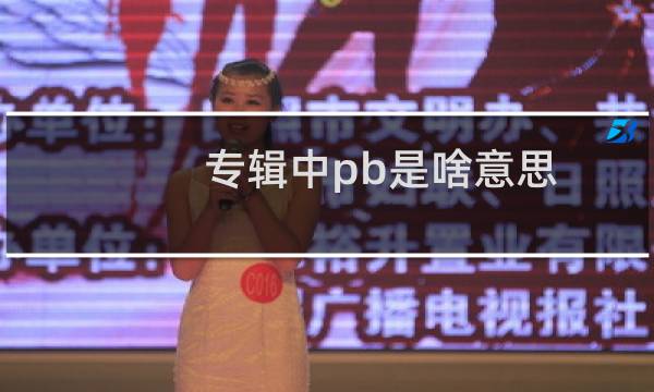 专辑中pb是啥意思