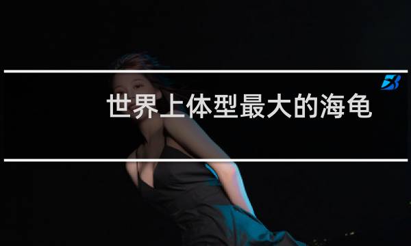 世界上体型最大的海龟是什么（世界最大的海龟介绍）图片