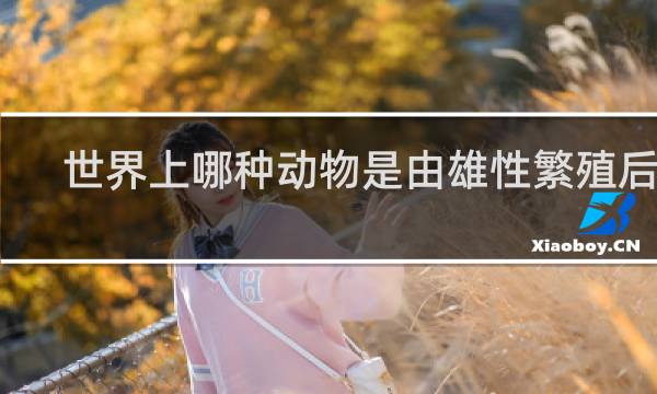 世界上哪种动物是由雄性繁殖后代