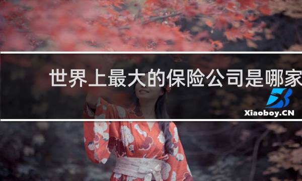 世界上最大的保险公司是哪家图片