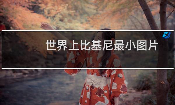 世界上比基尼最小图片（世界上最小的裤子世界最小比基尼）