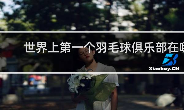 世界上第一个羽毛球俱乐部在哪一年成立
