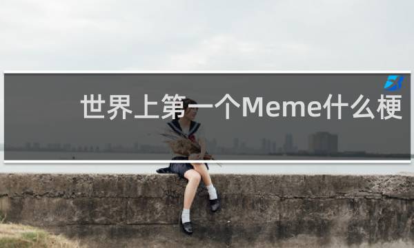 世界上第一个Meme什么梗