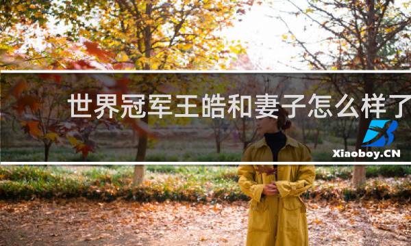 世界冠军王皓和妻子怎么样了