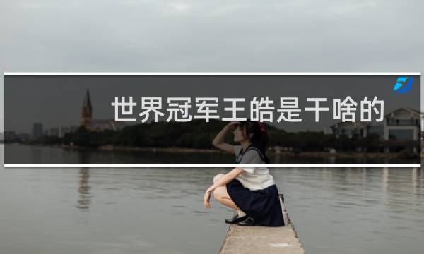 世界冠军王皓是干啥的