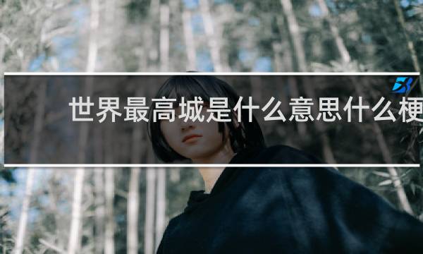 世界最高城是什么意思什么梗