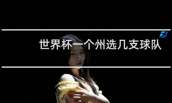 世界杯一个州选几支球队
