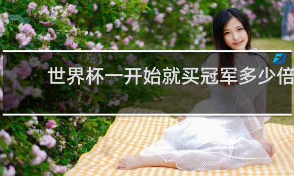 世界杯一开始就买冠军多少倍